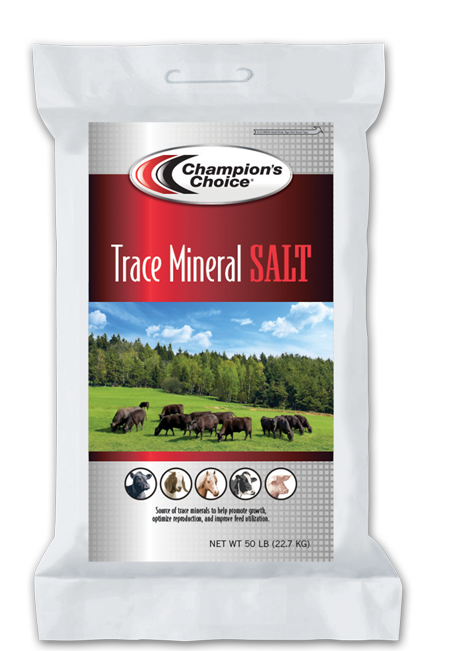 Trace Mineral Salt